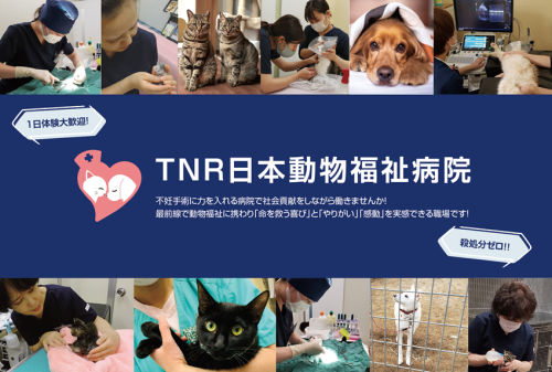 動物病院の承継候補獣医師募集｜開業希望歓迎