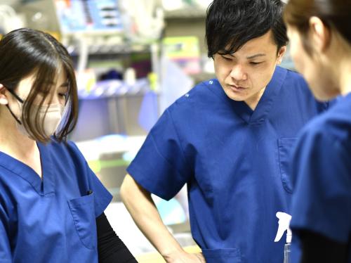 【新卒獣医師】豊富な症例×専門医と学ぶ｜CT・腹腔鏡完備