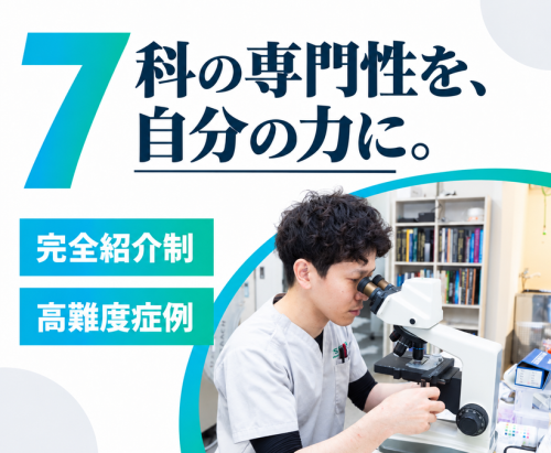 【獣医師/つくば】国内TOP水準の専門診療×前職給与保証あり
