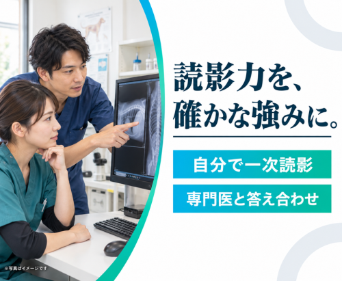 【獣医師/つくば】国内TOP水準の専門診療×前職給与保証あり