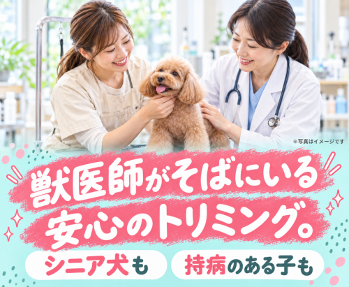 【パートトリマー】週2日〜・ブランクOK｜子育てとの両立◎