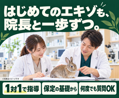 【獣医師】豊中｜エキゾを学びたいあなたへ｜エキゾ未経験歓迎