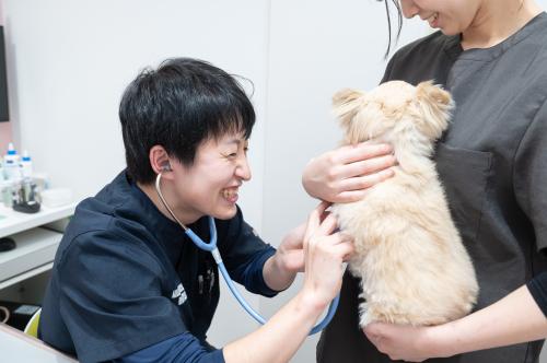 上質さにこだわるトリマー大募集【王子ペットクリニック】