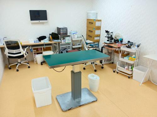 【正社員】実務経験1年以上｜動物看護師