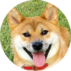 【東京都大田区・大森／トリマー】動物病院併設サロン