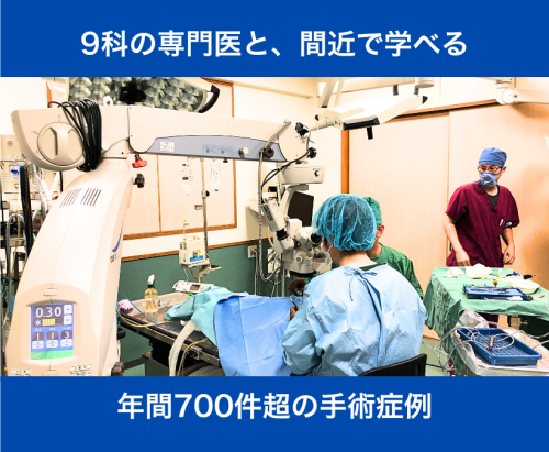 【獣医師パート】週1日〜｜午前/午後のみ可｜9科専門医と働く