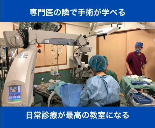 【四国】成長したい獣医師へ｜年収500万〜・9科専門医 