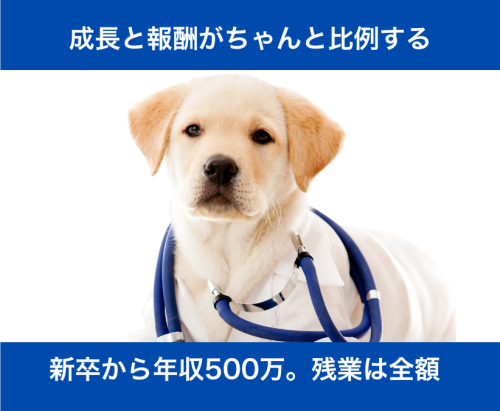 【四国】成長したい獣医師へ｜年収500万〜・9科専門医 