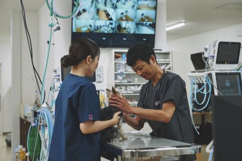 CT･MRI画像診断に興味ある獣医師募集！画像診断未経験歓迎