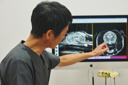 CT･MRI画像診断に興味ある獣医師募集！画像診断未経験歓迎