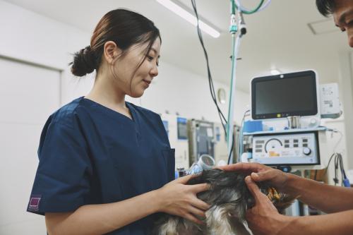 動物ケアスタッフ募集（実務経験1年以上）