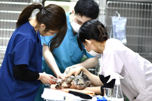 ブランクOK｜家庭と両立しながら、もう一度臨床へ
