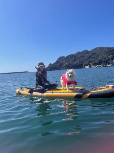 動物病院スタッフ募集｜資格・経験不問｜正社員｜ブランクOK