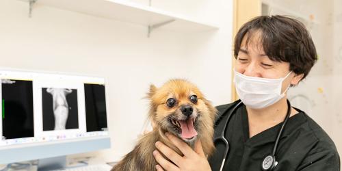 【動物看護学生応募可！】動物看護スタッフ｜時給1,500円〜