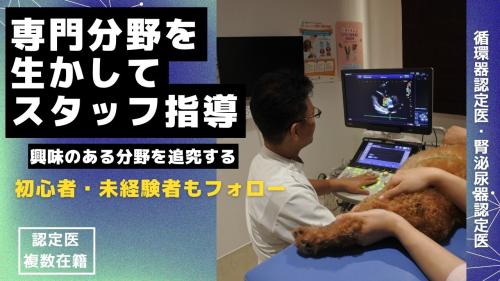 獣医師/正社；循環器センター併　1～2次診療対応獣医へ