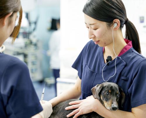 【新卒】動物愛玩看護師募集☆全力でサポートします☆