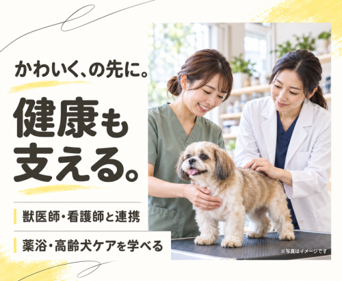 【パートトリマー】弥富｜週2日・1日4時間～｜家庭との両立◎
