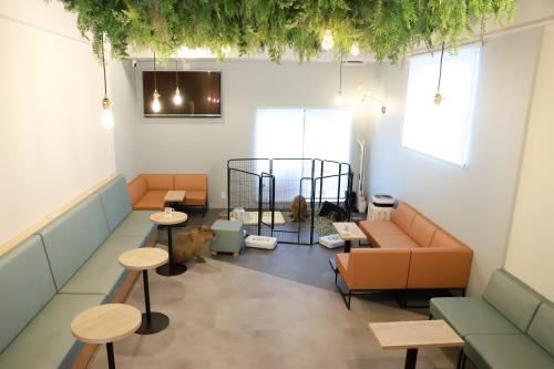 【正社員】アニマルカフェ（カピバラ）の店舗運営スタッフ