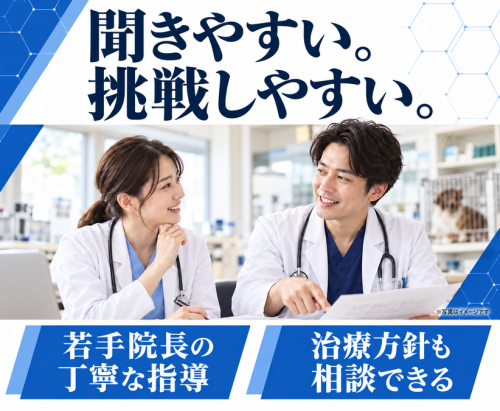 【名古屋】獣医師｜外科を若手院長が丁寧に教えます｜日祝休み