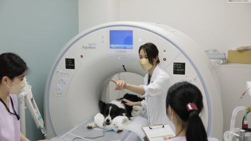 人事・採用担当（1人目／ひとり人事の立ち上げ）