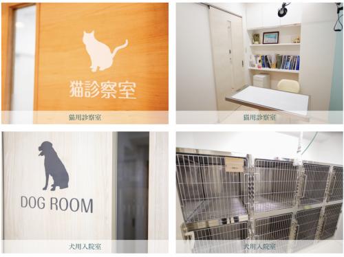 動物看護師募集：成長できる環境で、理想の動物看護師へ