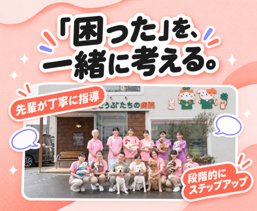 【新潟】トリマー｜動物病院併設｜ノルマなし・残業ほぼ０