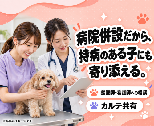 【新潟】トリマー｜動物病院併設｜ノルマなし・残業ほぼ０