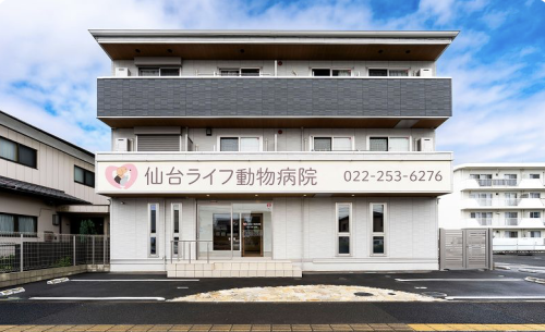 愛玩動物看護師　新しい動物病院で一緒に働きませんか？