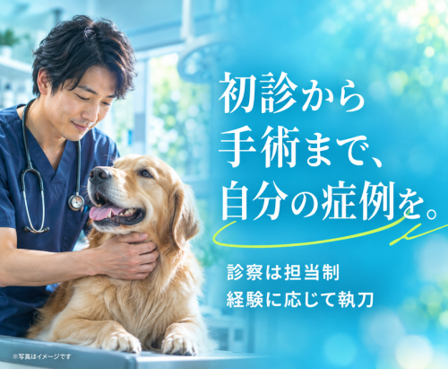 【茅ヶ崎・寒川】獣医師｜担当制×専門5領域で診断力を磨く