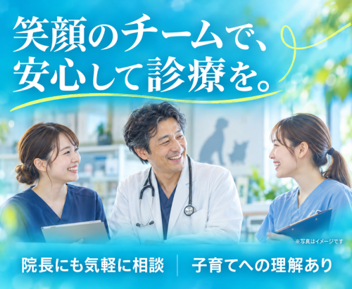 【茅ヶ崎・寒川】獣医師｜担当制×専門5領域で診断力を磨く