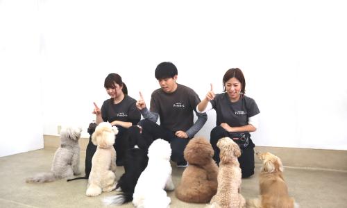ドッグトレーナー/年間休日120日以上/完休2日/残業なし