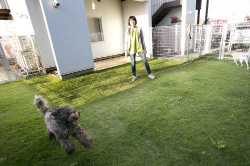 【募集再開‼】動物看護師・病院スタッフを募集しています