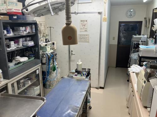 島根県益田市の一次病院で獣医師を募集
