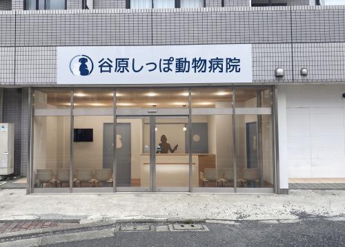 12月開院の動物病院で受付事務を大募集！