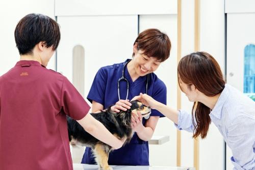 獣医師｜碑文谷院｜動物医療センターPecoグループ