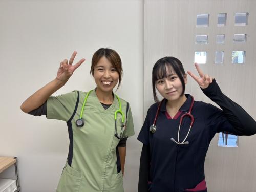 週休3日！獣医師正社員募集！