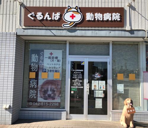 動物看護師募集！