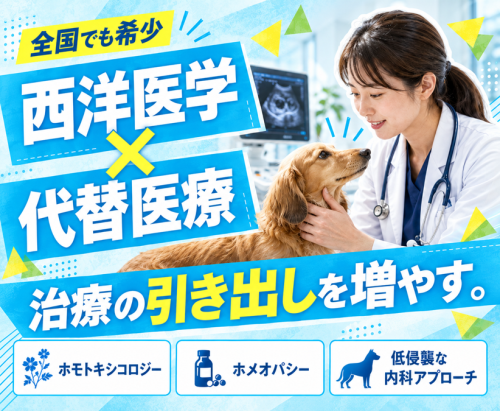 【新潟市】獣医師｜代替医療も学べる｜月給42万～・残業ほぼ0
