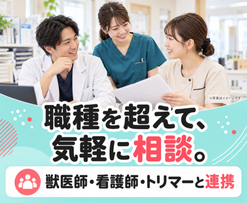 【動物病院の事務】未経験歓迎｜週2日～｜動物に関わる仕事