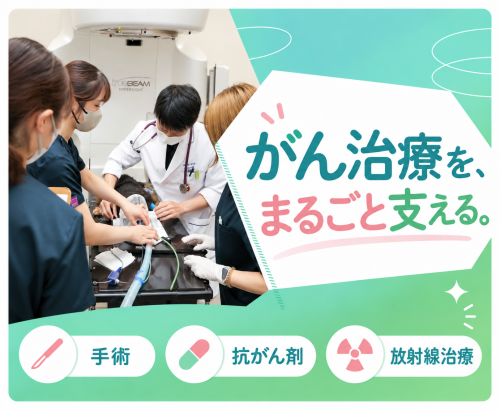 【京都】愛玩動物看護師｜腫瘍科専任｜一次経験者歓迎◎｜祝日休