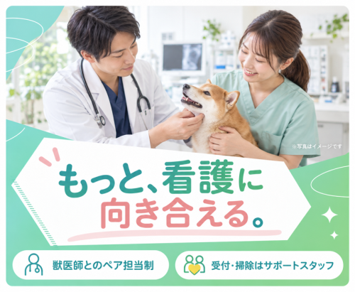 【京都】愛玩動物看護師｜腫瘍科専任｜一次経験者歓迎◎｜祝日休
