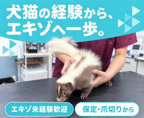【パート獣医師】豊中｜週1日〜｜午前・午後のみOK
