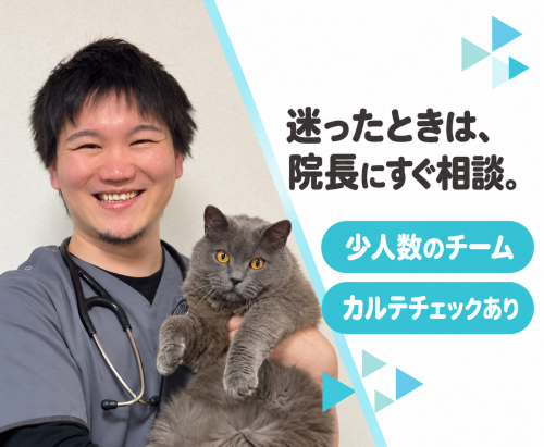 【パート獣医師】豊中｜週1日〜｜午前・午後のみOK