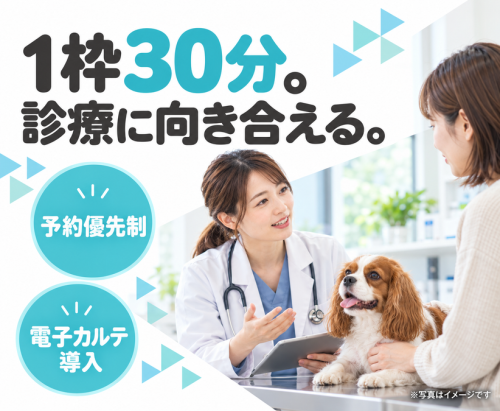 【パート獣医師】豊中｜週1日〜｜午前・午後のみOK
