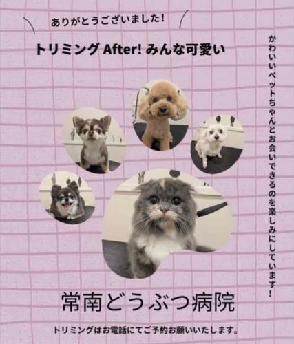 【正社員】トリマー(条件②)募集！【急募】