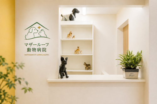 マザールーフ動物病院の獣医師（正社員）を募集！