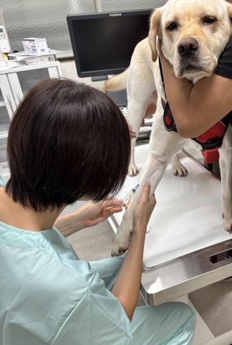 マザールーフ動物病院の獣医師（正社員）を募集！