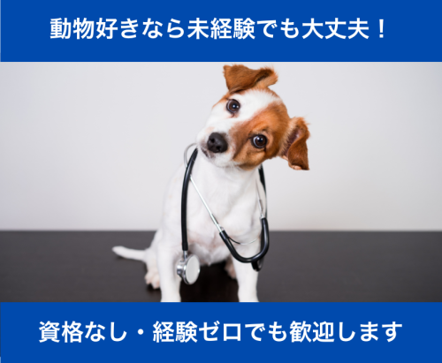 【パート】動物好き歓迎・週1日〜OK｜神楽坂の動物病院の受付
