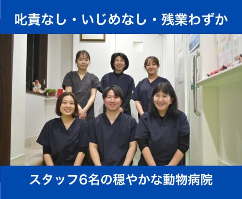 【パート】動物好き歓迎・週1日〜OK｜神楽坂の動物病院の受付