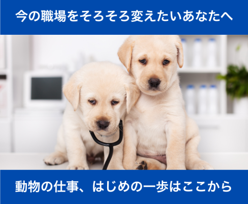 【正社員】動物好き歓迎｜神楽坂の動物病院で受付スタッフ